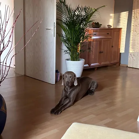 Apartment In Der Schorfheide