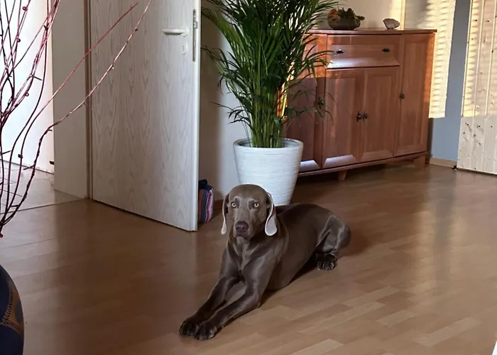 Apartamento In Der Schorfheide